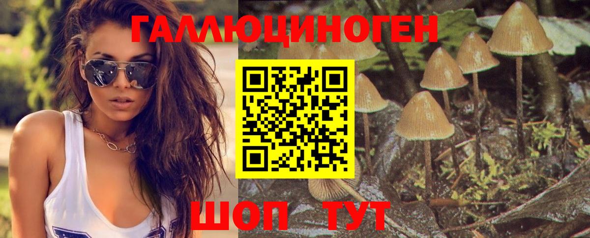 Галлюциногенные грибы прущие грибы  Вход с VPN  Муравленко 