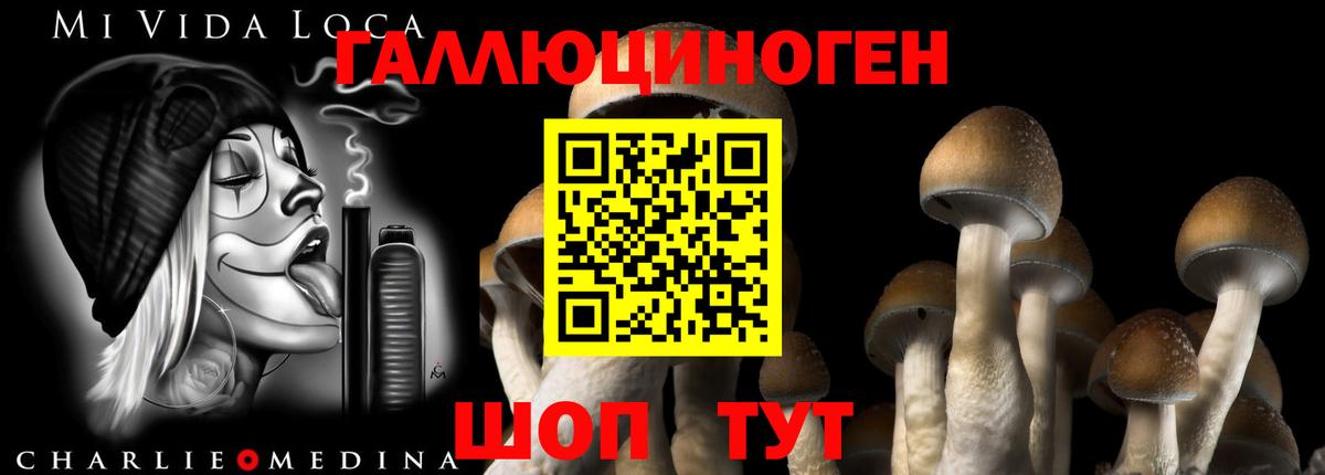 Галлюциногенные грибы MAGIC MUSHROOMS Муравленко